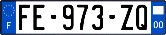 FE-973-ZQ