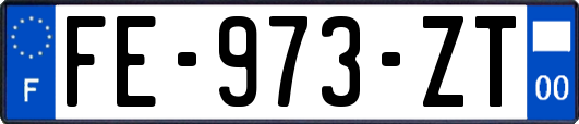 FE-973-ZT