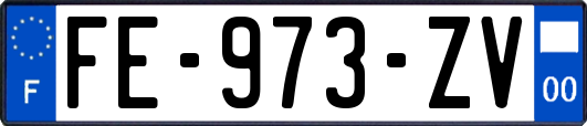 FE-973-ZV