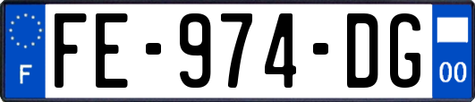 FE-974-DG