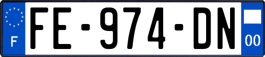 FE-974-DN