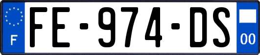 FE-974-DS