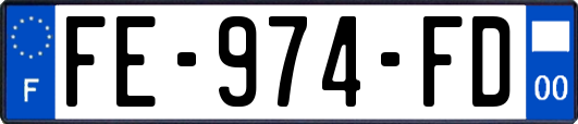 FE-974-FD