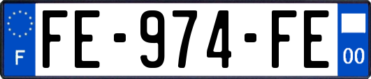 FE-974-FE