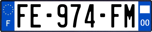 FE-974-FM