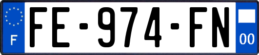 FE-974-FN
