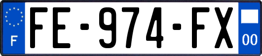 FE-974-FX