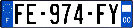 FE-974-FY