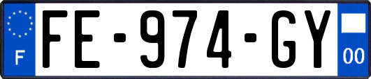 FE-974-GY