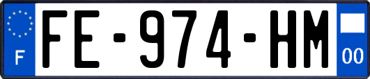 FE-974-HM
