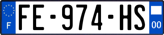 FE-974-HS