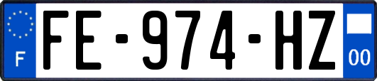 FE-974-HZ