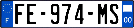 FE-974-MS