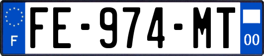 FE-974-MT