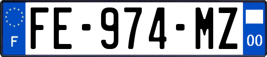 FE-974-MZ