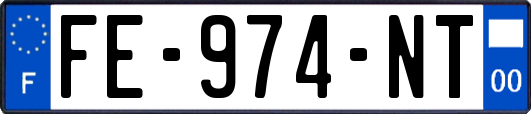FE-974-NT