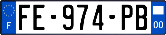 FE-974-PB