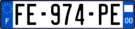 FE-974-PE