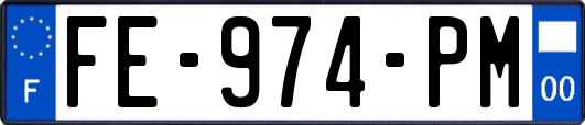 FE-974-PM