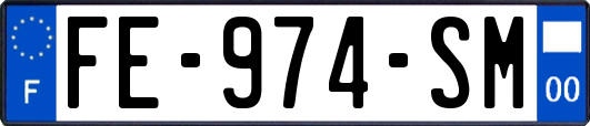 FE-974-SM
