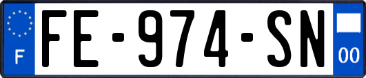 FE-974-SN