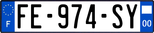 FE-974-SY