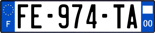 FE-974-TA
