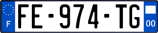 FE-974-TG