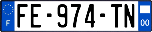 FE-974-TN