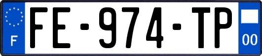 FE-974-TP