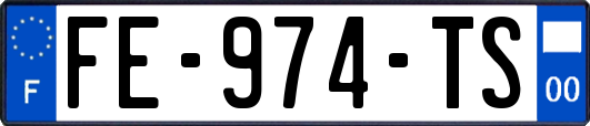 FE-974-TS