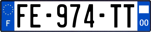 FE-974-TT