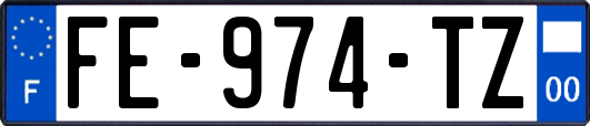 FE-974-TZ