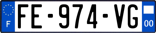 FE-974-VG