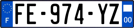 FE-974-YZ