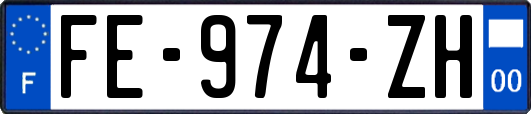 FE-974-ZH