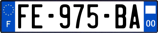FE-975-BA