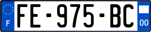 FE-975-BC