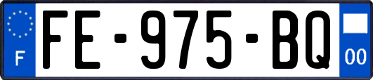 FE-975-BQ