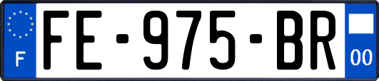 FE-975-BR