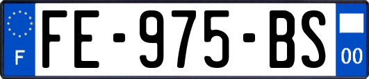FE-975-BS