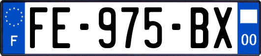 FE-975-BX