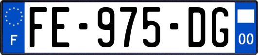 FE-975-DG