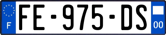 FE-975-DS