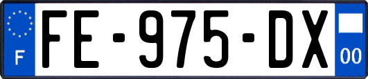FE-975-DX