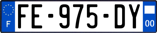 FE-975-DY