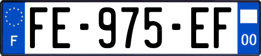 FE-975-EF