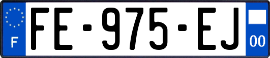 FE-975-EJ