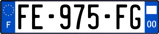 FE-975-FG