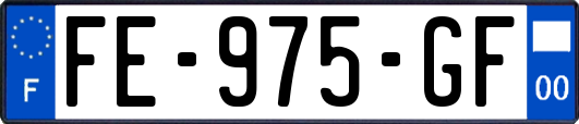 FE-975-GF